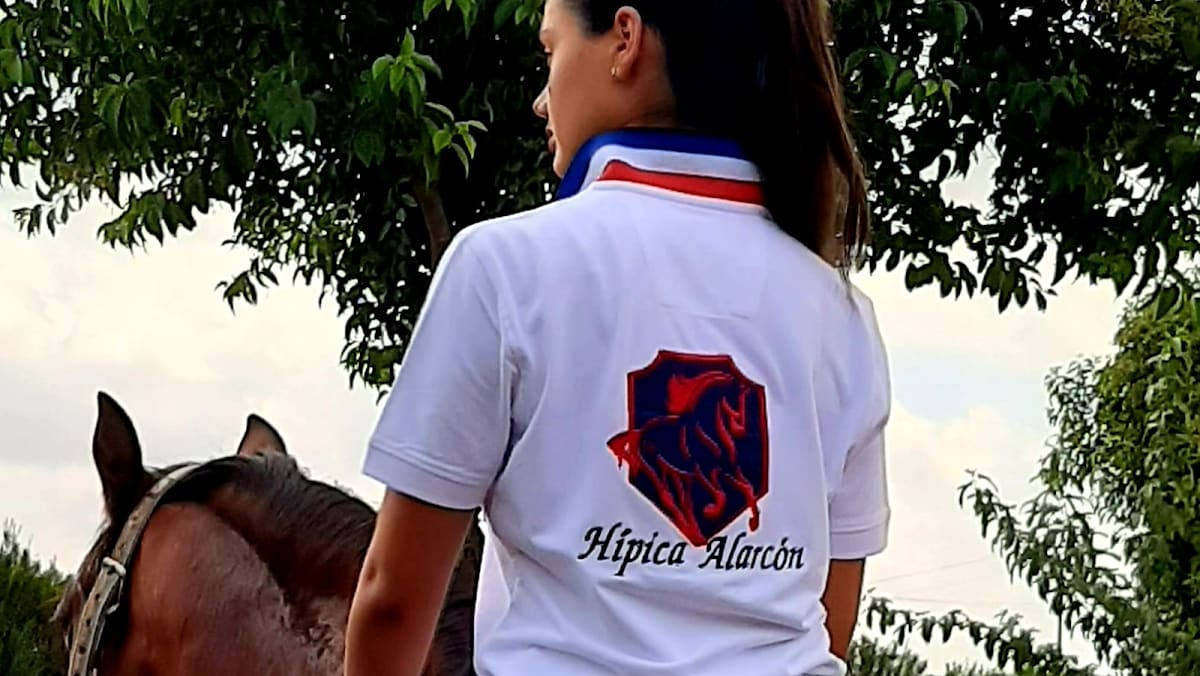 Hípica Alarcón - Hipica in Picassent