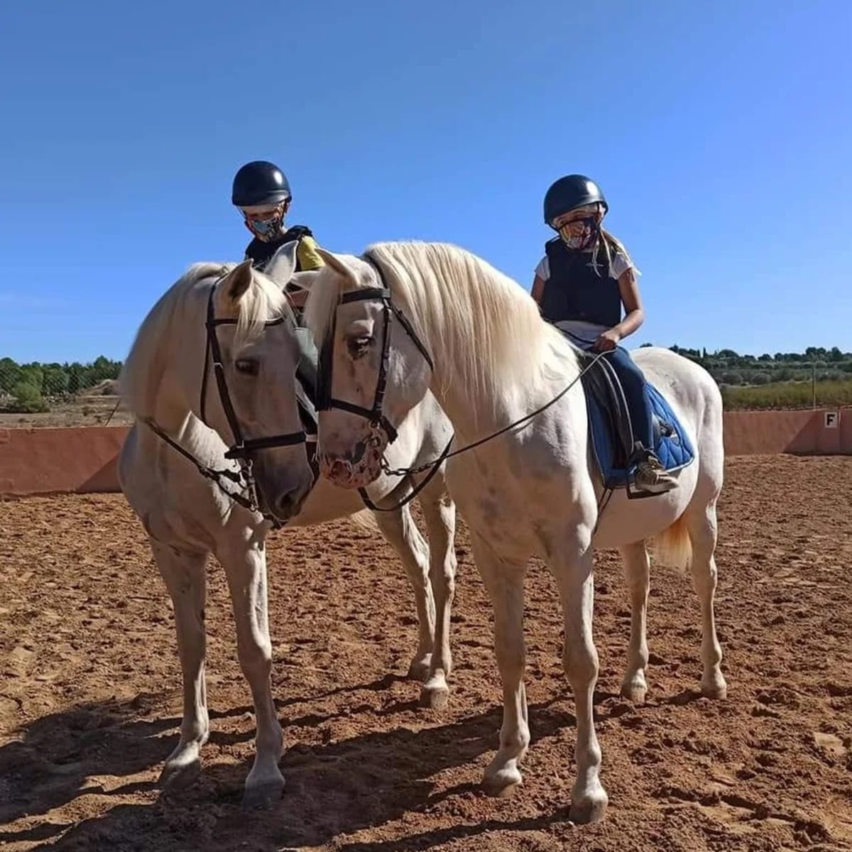 Hipica SantaMonica Sesiones a Caballo Paseos🏇🏾Circuitos Actividades🏞️Rutas 🇪🇸EntrenadorDoma 🇪🇸YEGUADA (HR) - Hipica en Pedralba