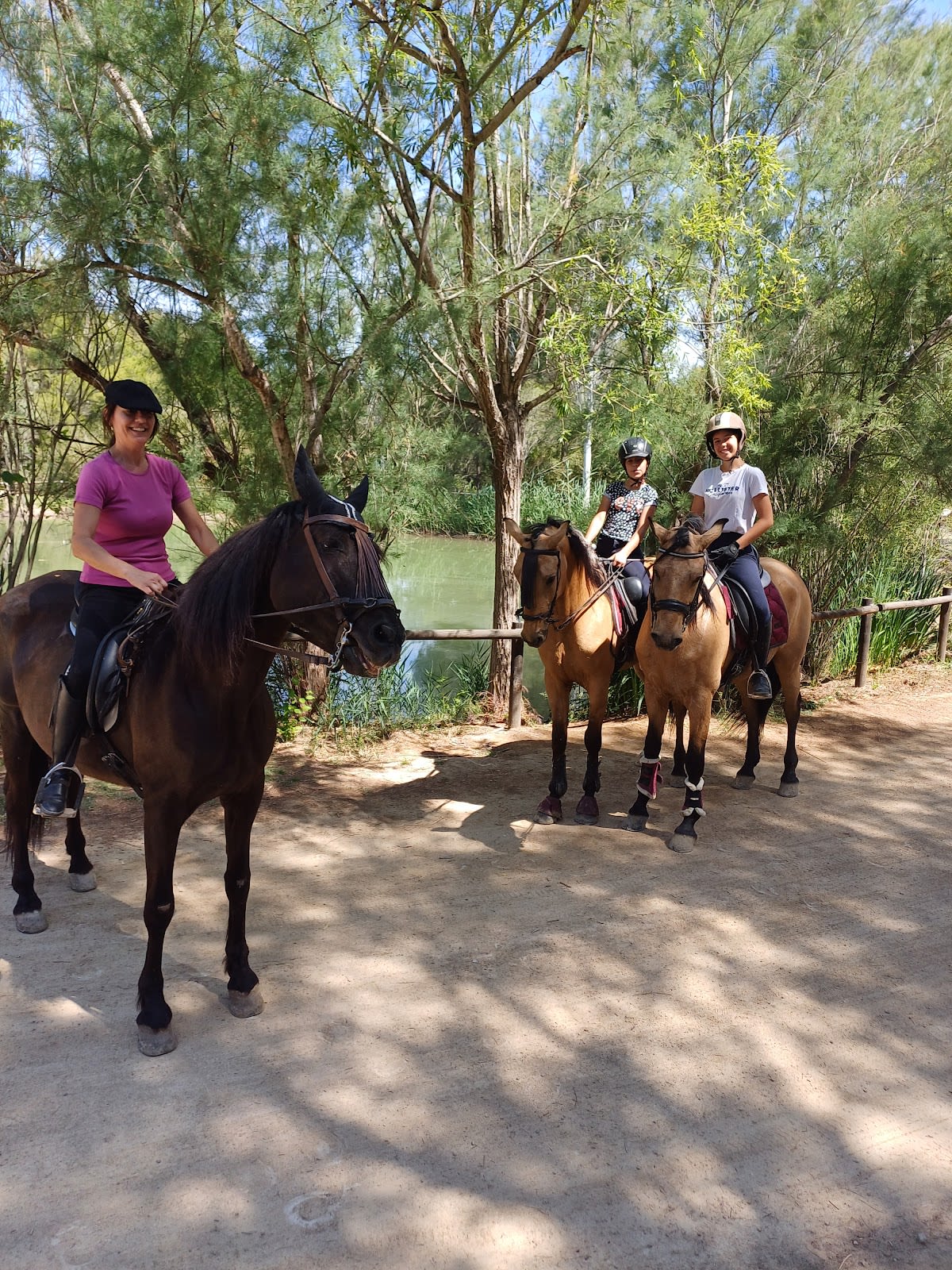 Hípica Salvador Ferrer - Hipica en Vilamarxant