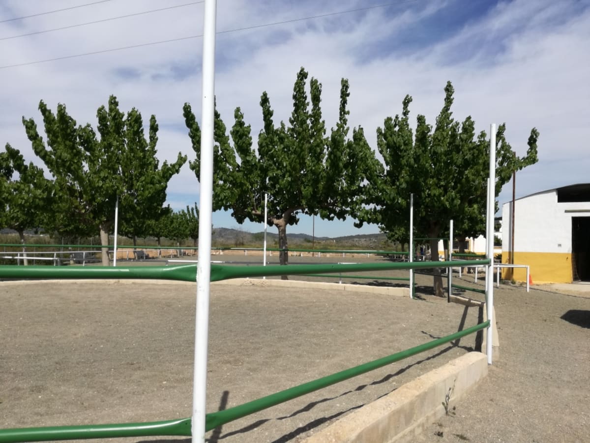 Hípica Alfarp - Hipica en Alfarb