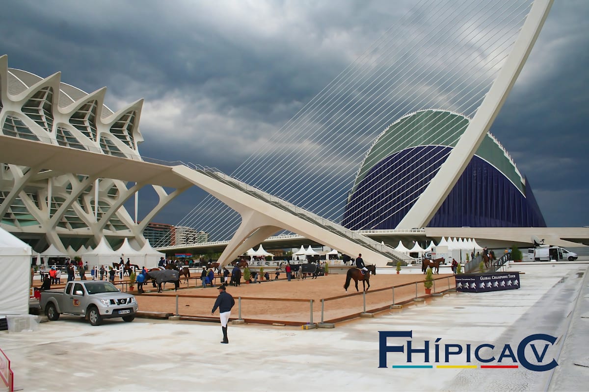 Federacion Hípica Comunidad Valenciana - Hipica in Paterna