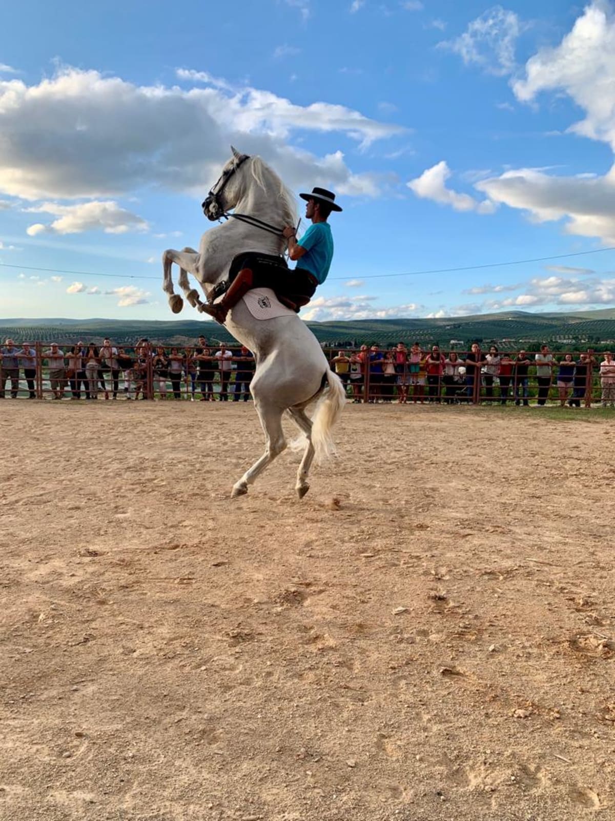Centro ecuestre Miguel Angel Plaza - Hipica in Jaen