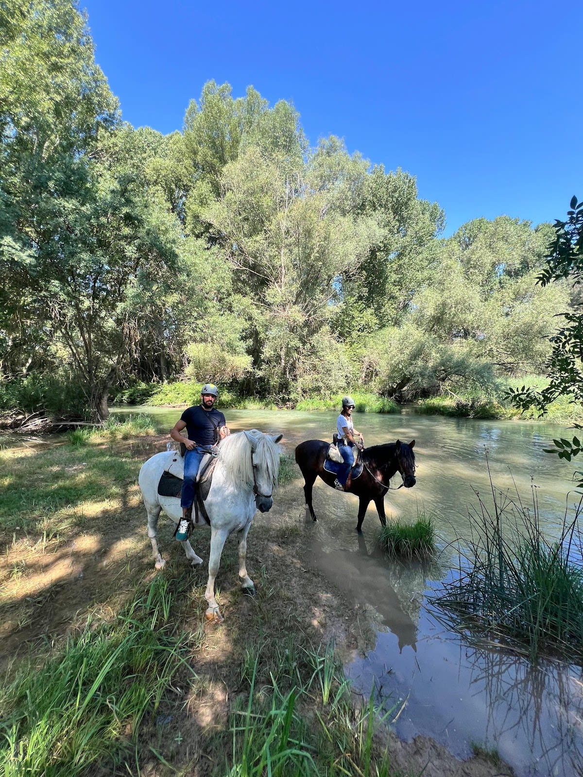 Reto Aventura - Actividades de multiaventura en Cuenca - Hipica en Villalba de la Sierra