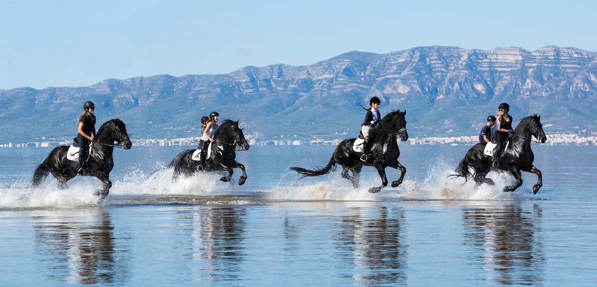 Orange Blossom Travel/Azahar Adventures - Hipica en Xert