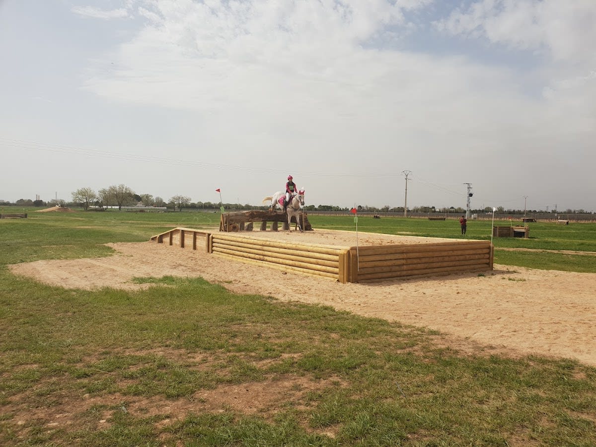 FINCA - YEGUADA LOS ARCÁNGELES - Hipica en Argamasilla de Alba