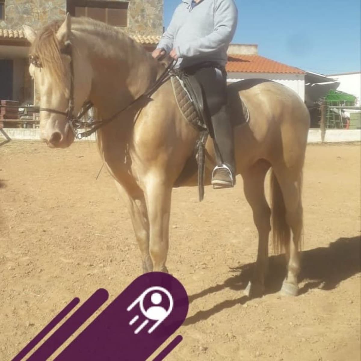 Yeguada Virgen de las Nieves - Hipica en Casasimarro