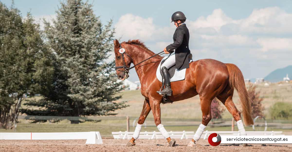 Cal Senyoret - Hipica in El Papiol