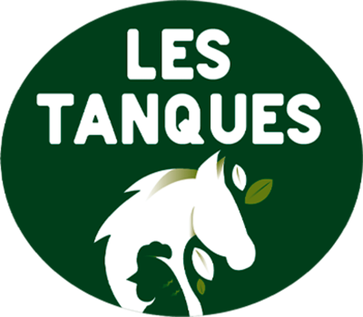 Hípica Les Tanques - Hipica in Barcelona