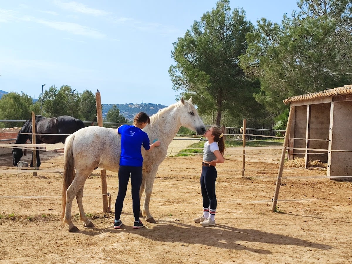 Eventinghorses Abel Masía la Cogullada Clases, Rutas a caballo Parque Natural - Hipica in La Cogullada