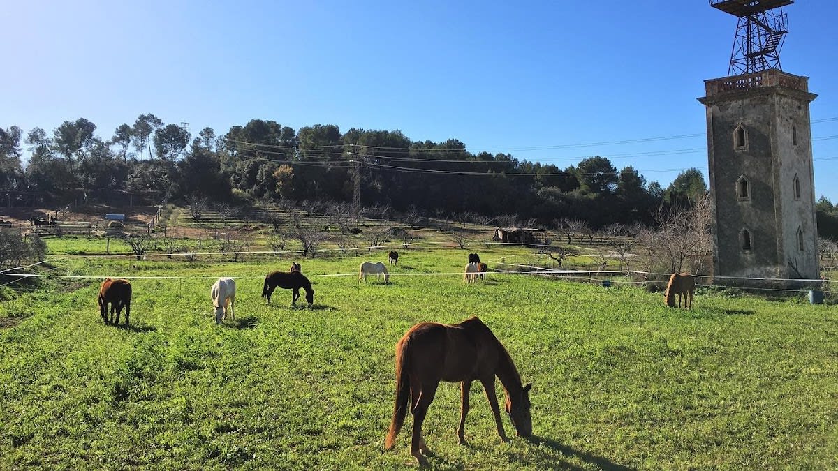 Cavalls de Calma - Hipica in Barcelona