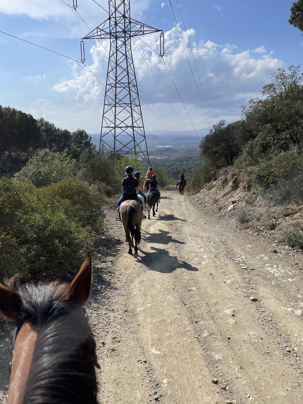 Club Hípic Sol i Terra - Hipica in Molins de Rei