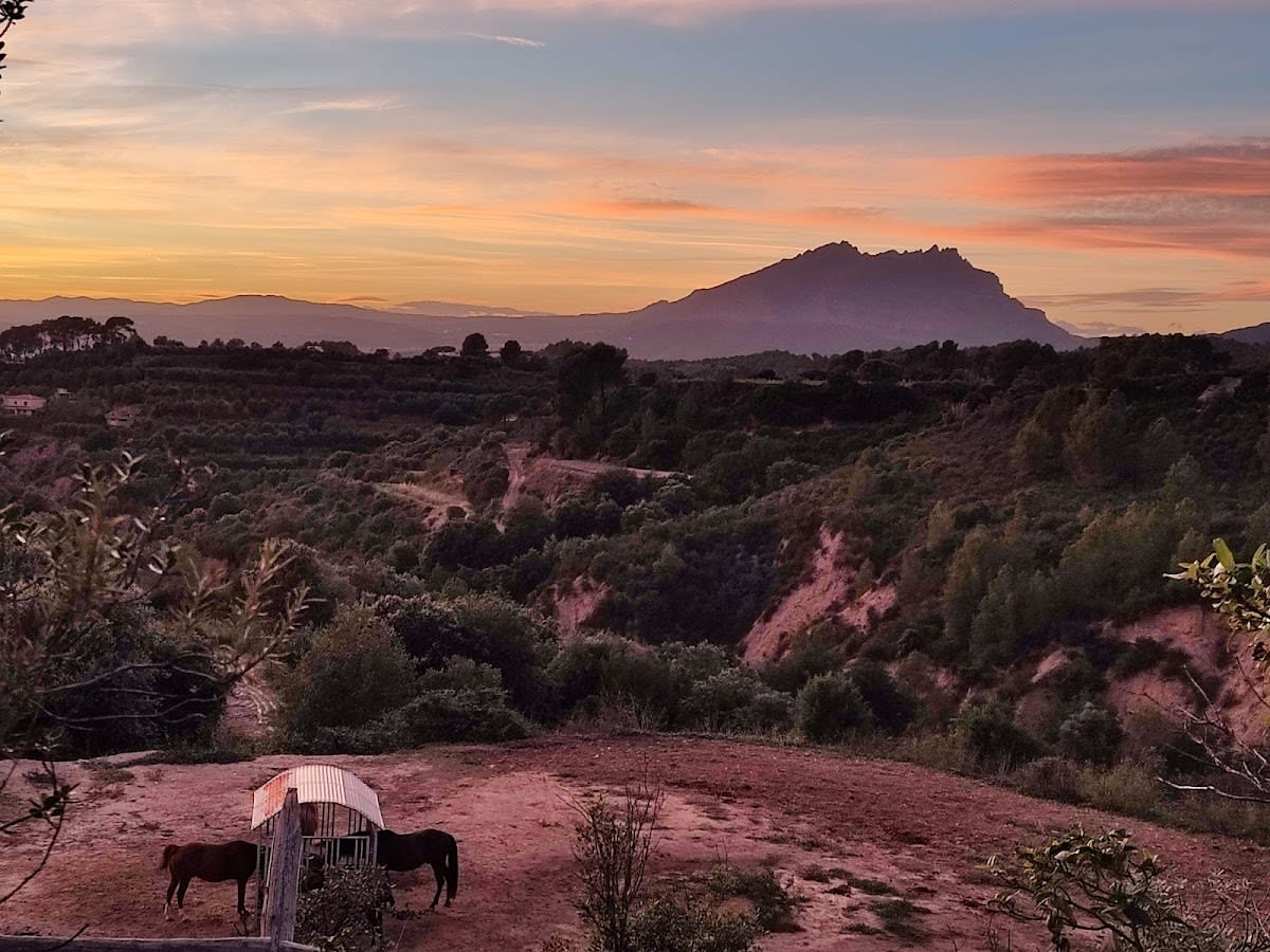 Hípica spalibertycaballos(JOSE) - Hipica in Castellbisbal