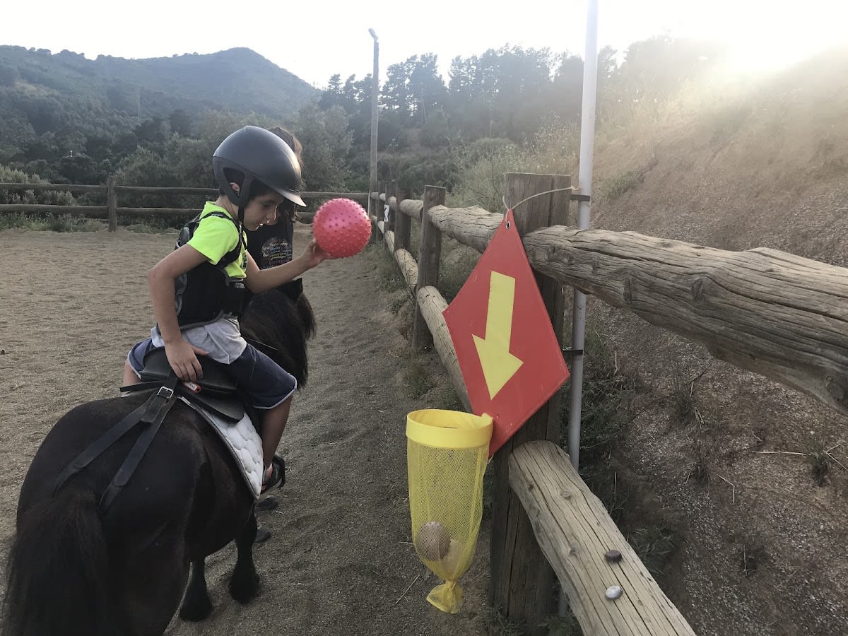 DHARMA Teràpies Assistides amb Cavalls - Hipica in Sant Just Desvern