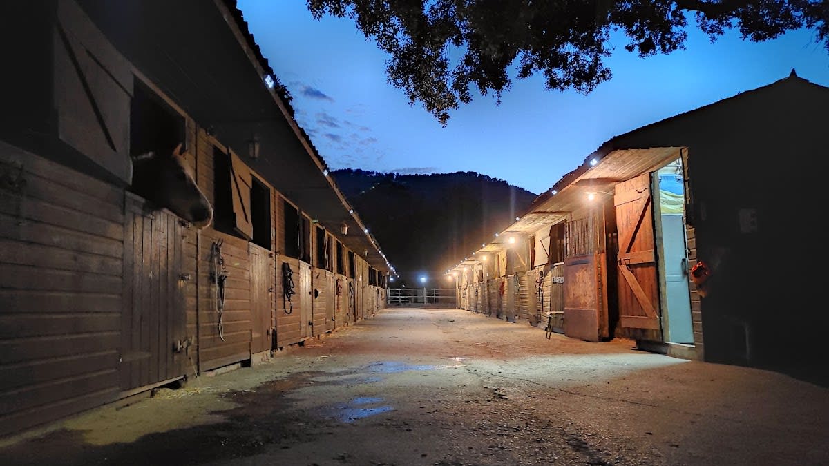 Centre Hípic Pelham - Hipica in Can Vinyals