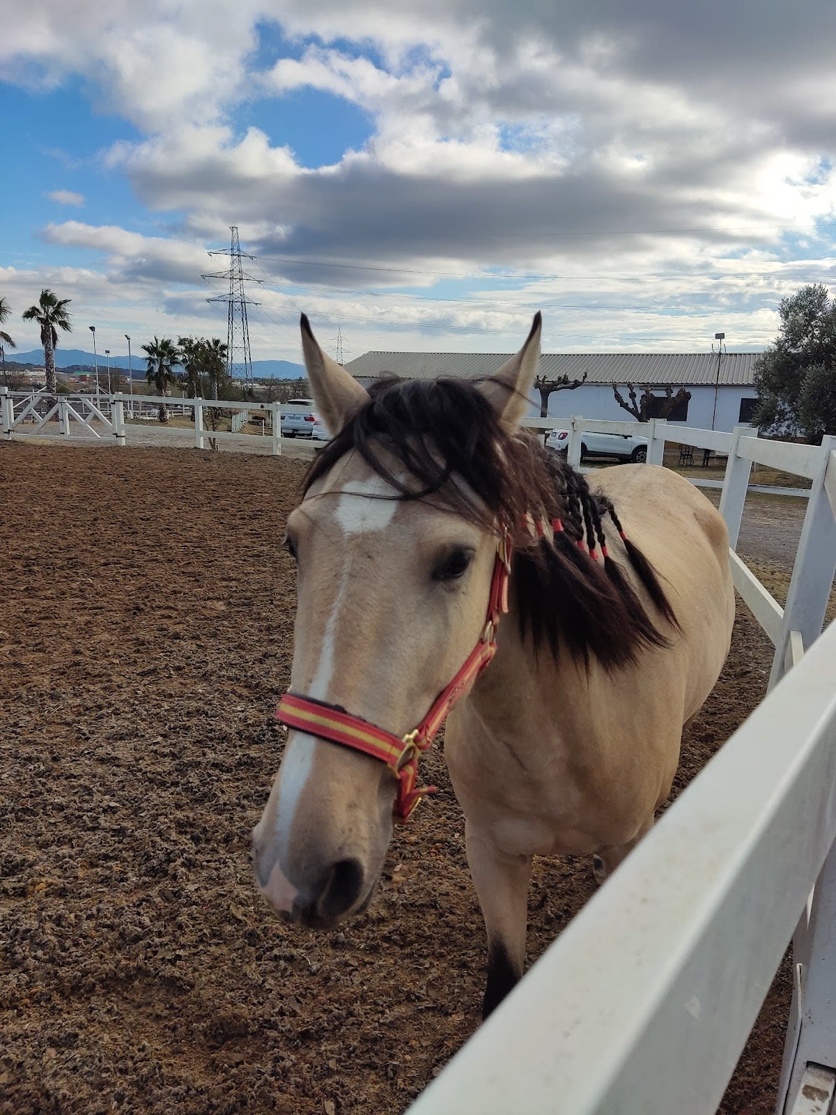Centre Eqüestre Jordi Cortés - Hipica in Sentmenat