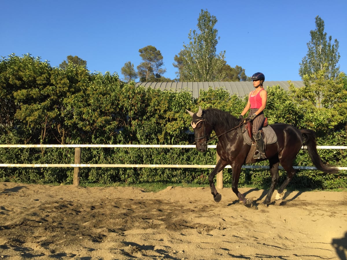 Ak-Vall Horse Center - Hipica in Santa Susanna