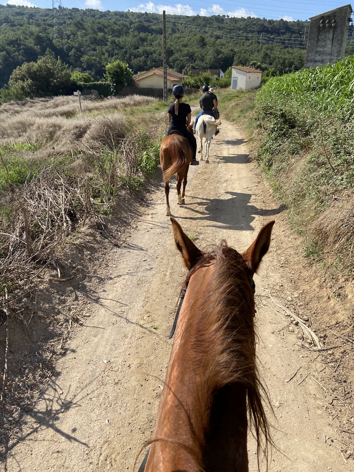 Centre Hípic Can Vivet - Hipica in Centelles