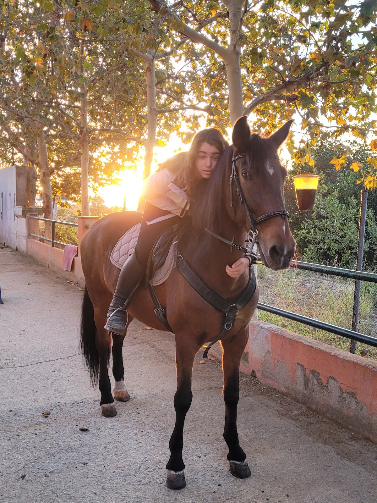 La Hípica de Arenys - Hipica in Arenys de Mar