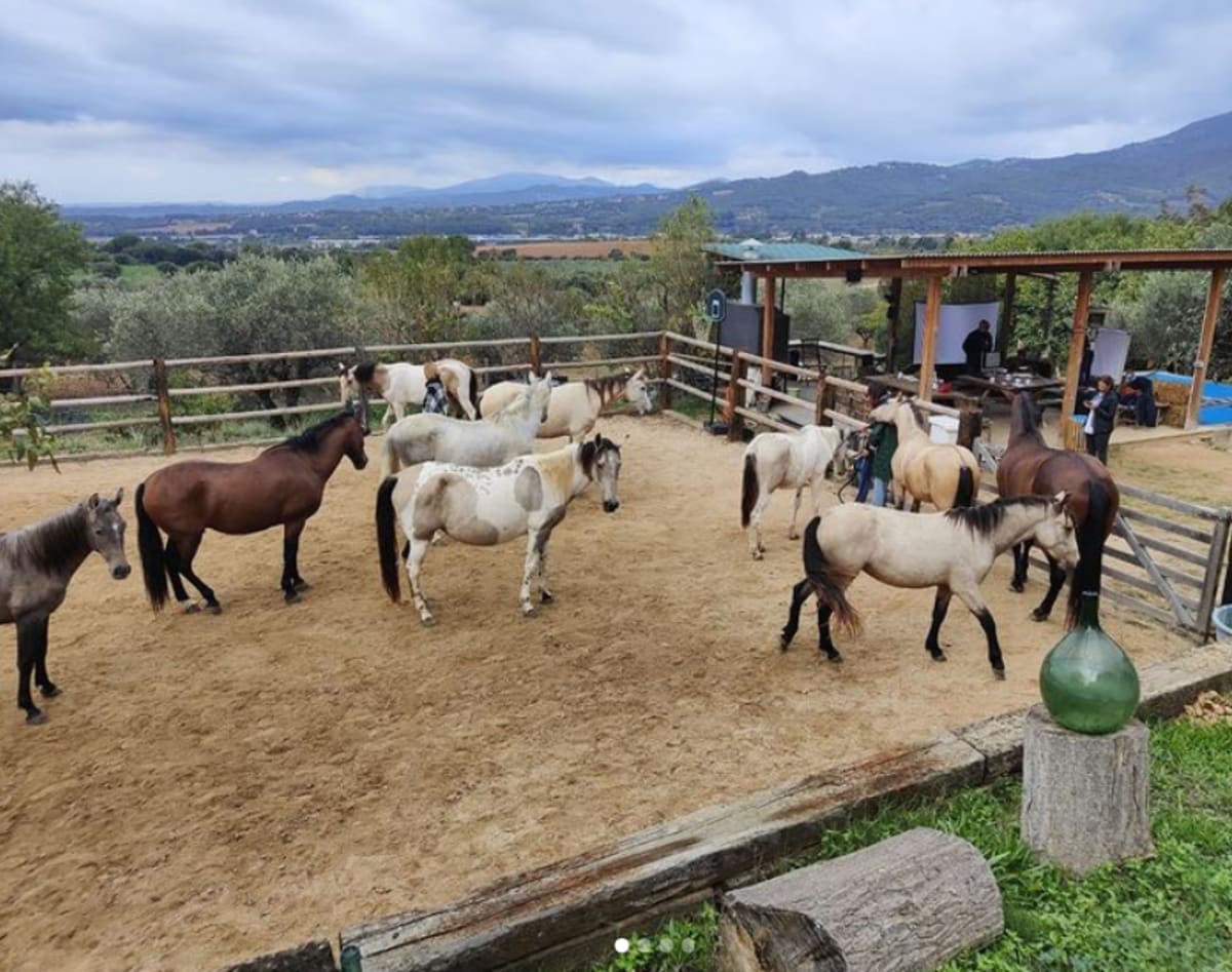 El Turó dels cavalls - Hipica in La Garriga