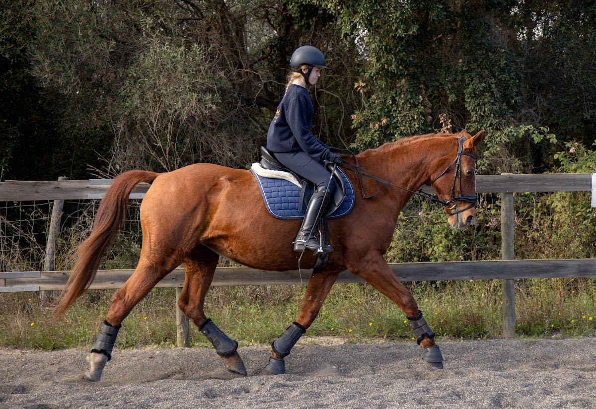 Magna Center - Hipica in Calonge