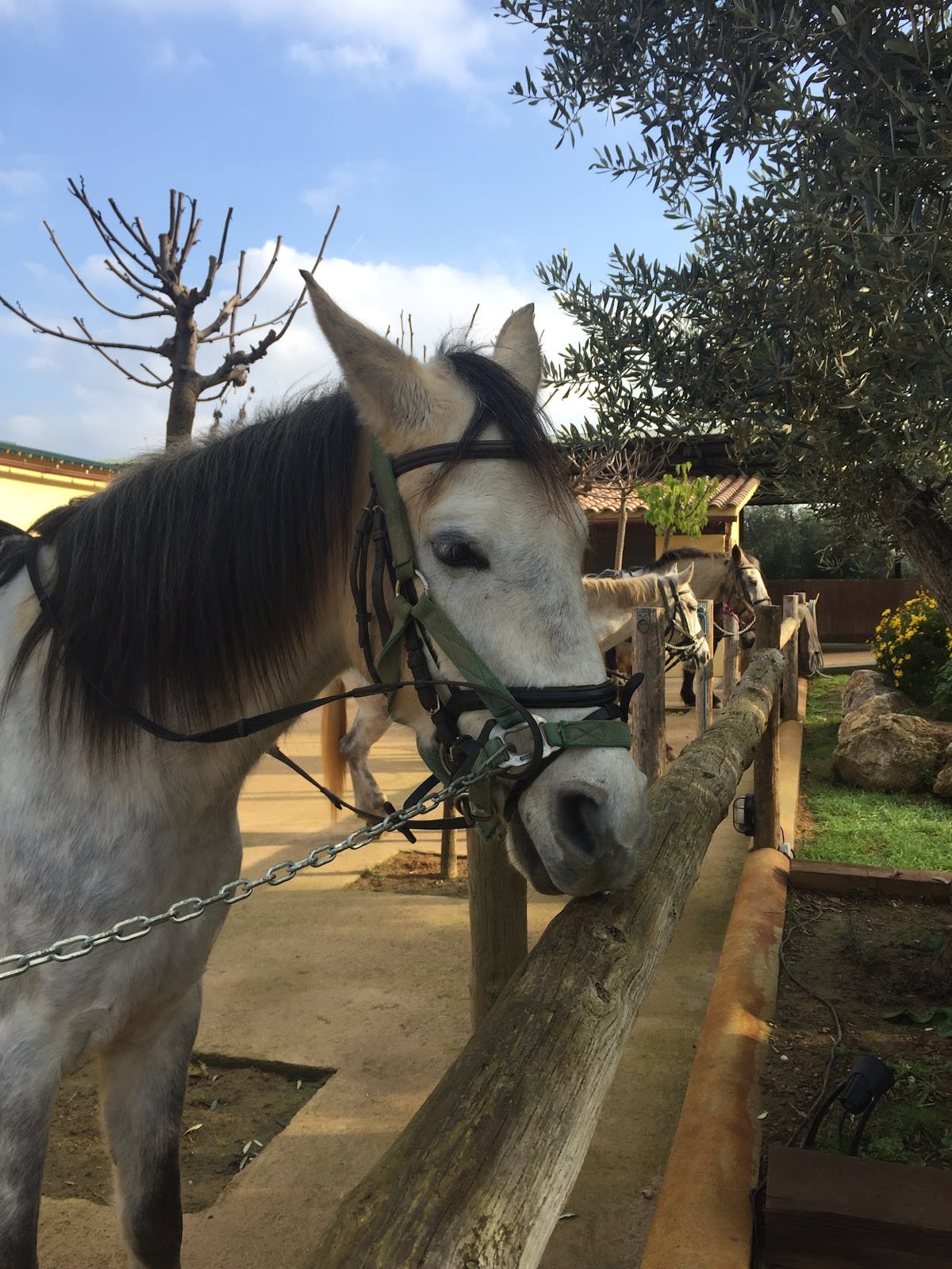 Overland Peratallada - Hipica in Peratallada