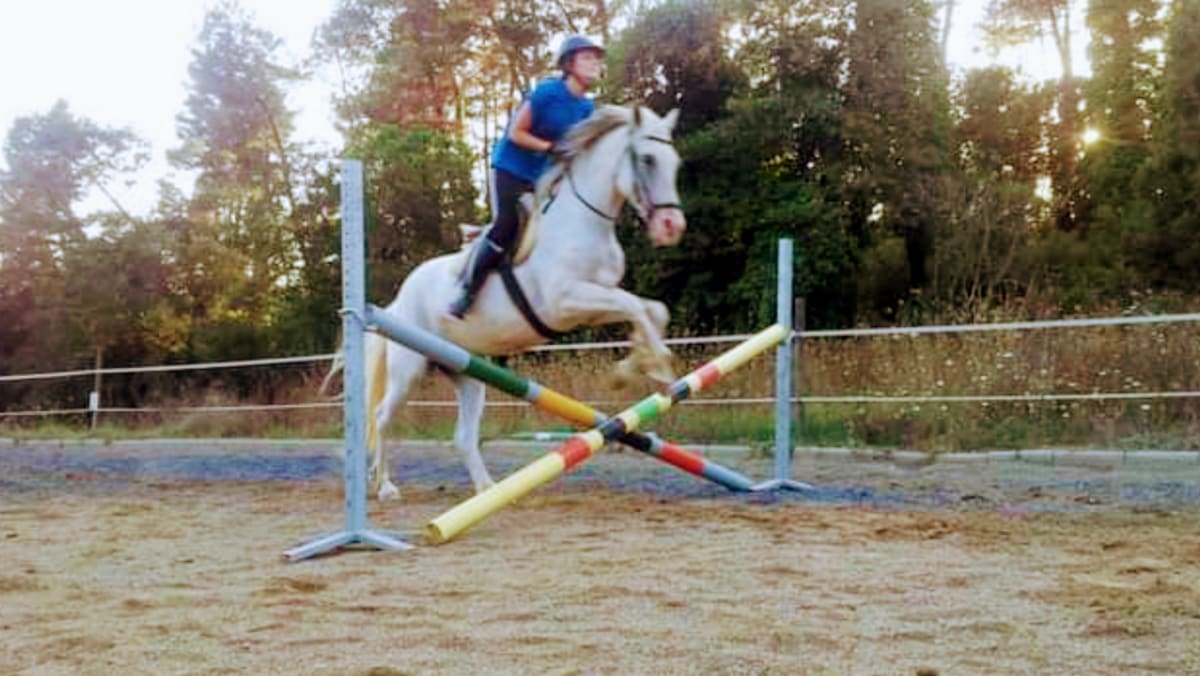 Hipica Tordera - Hipica in Tordera