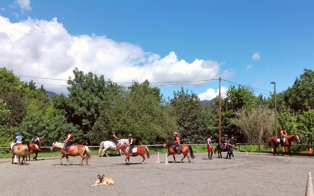 Natura a Cavall Escuela de Doma Natural - Hipica em Santa Coloma de Farners