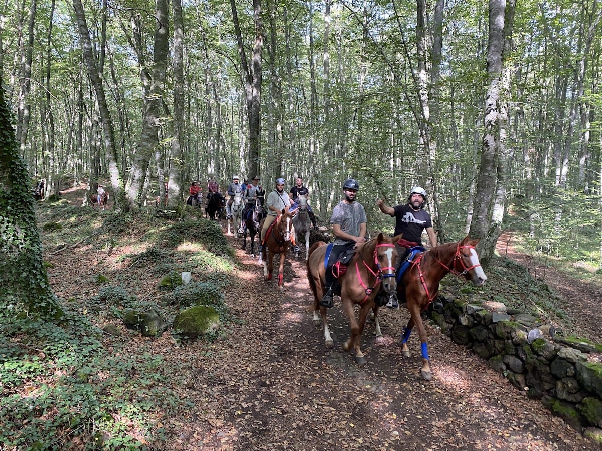 Hipica bonavista - Hipica in Olot