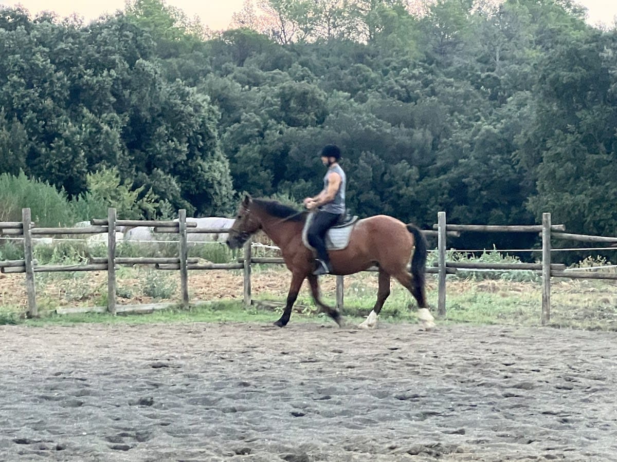 Can Genassa - Hipica in Girona