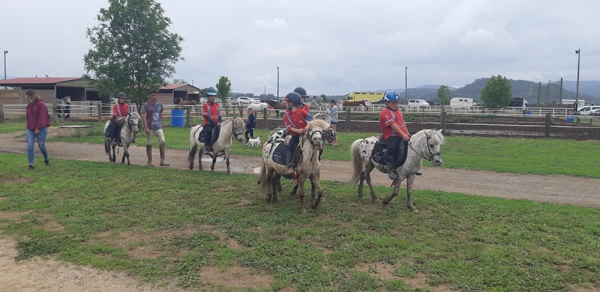 Hípica Malla Equitación y Naturaleza - Hipica in Malla