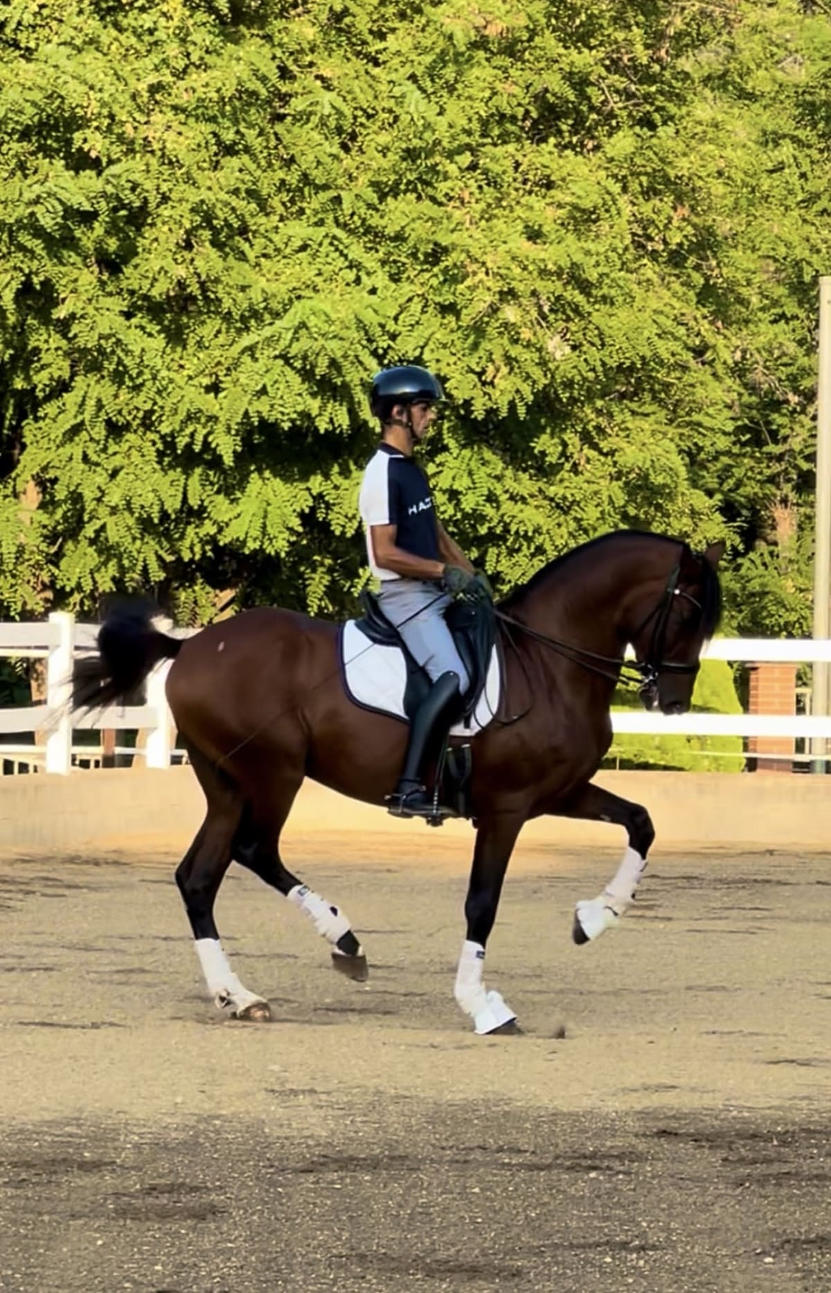 Hipica Don caballo Cavalier Akhrif - Hipica in Vilanova del Vallès