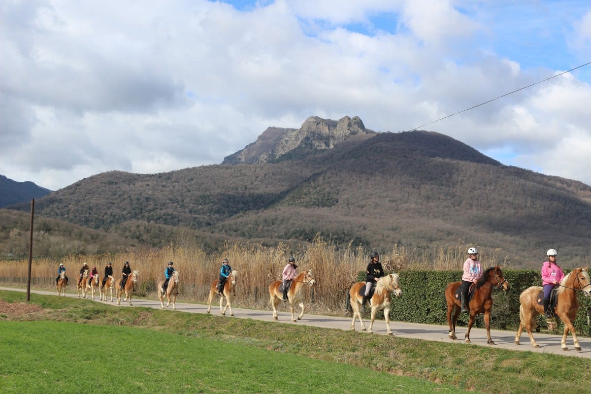 eQuaid - eQuillet - Hipica in Girona