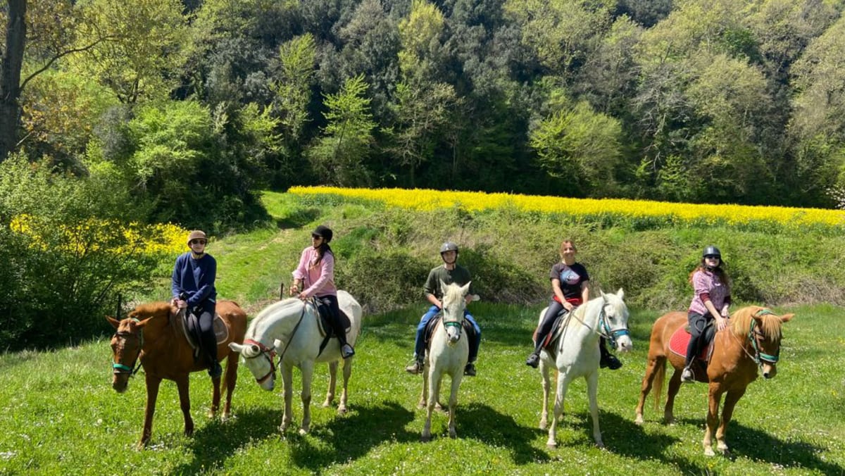 Hipica Equus Garrotxa - Hipica in Sant Feliu de Pallerols