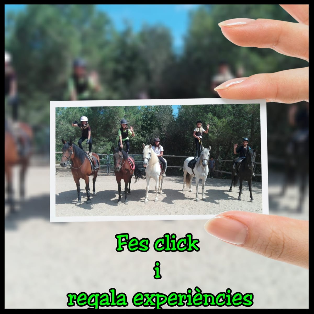 EL MAS DELS CAVALLS (Matadepera - Terrassa - Sabadell) CLASSES - RUTES - PUPIL·LATGE - Hipica in Matadepera