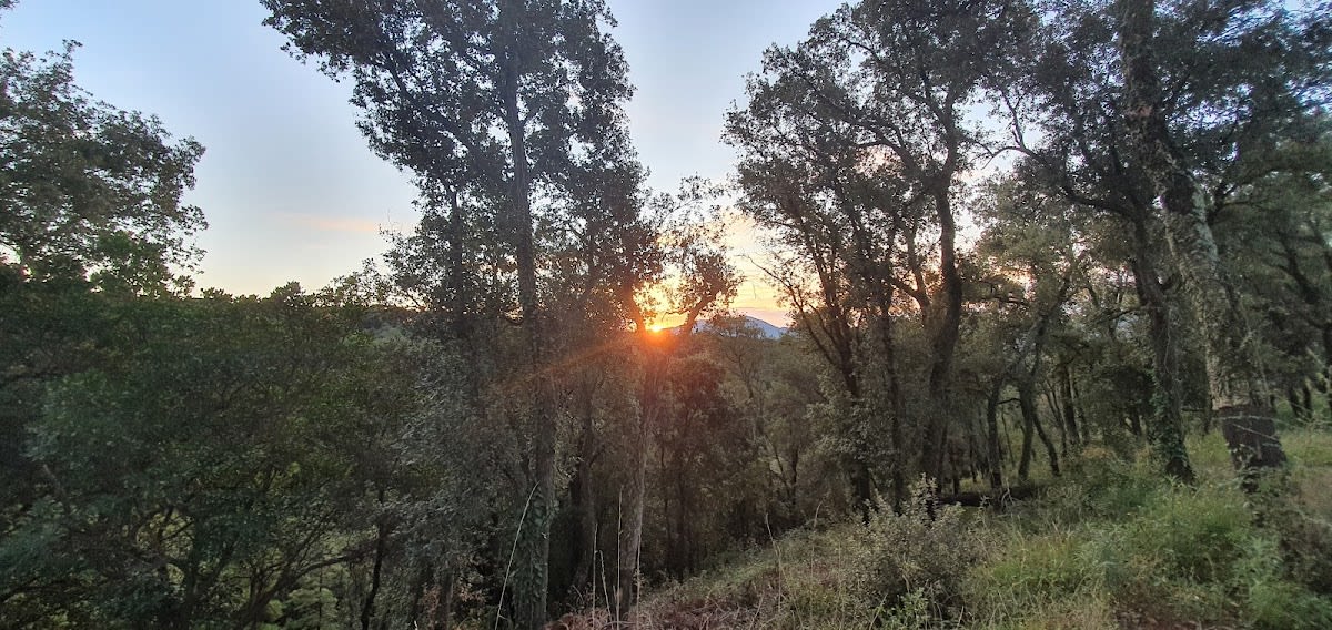 Happy Horse - Hipica in Mosqueroles