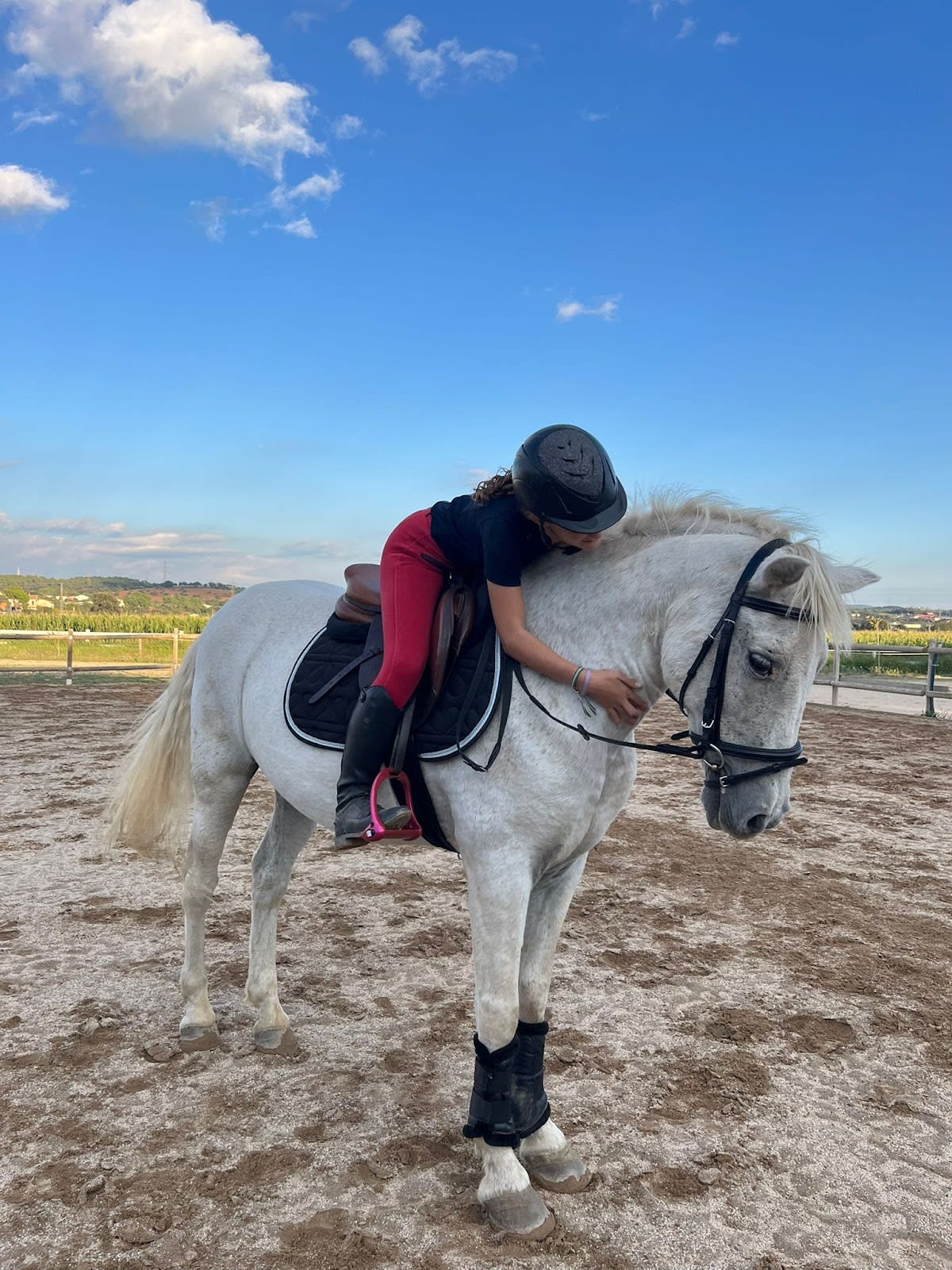 Centre esportiu d'equitació Can Robert - Hipica in Barcelona