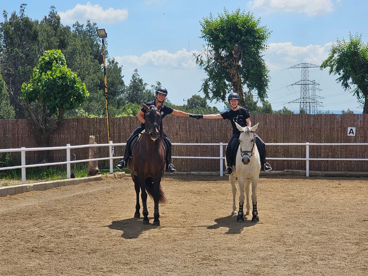 Hípica Castellar - VICLAU HORSES - Hipica in Castellar del Vallès