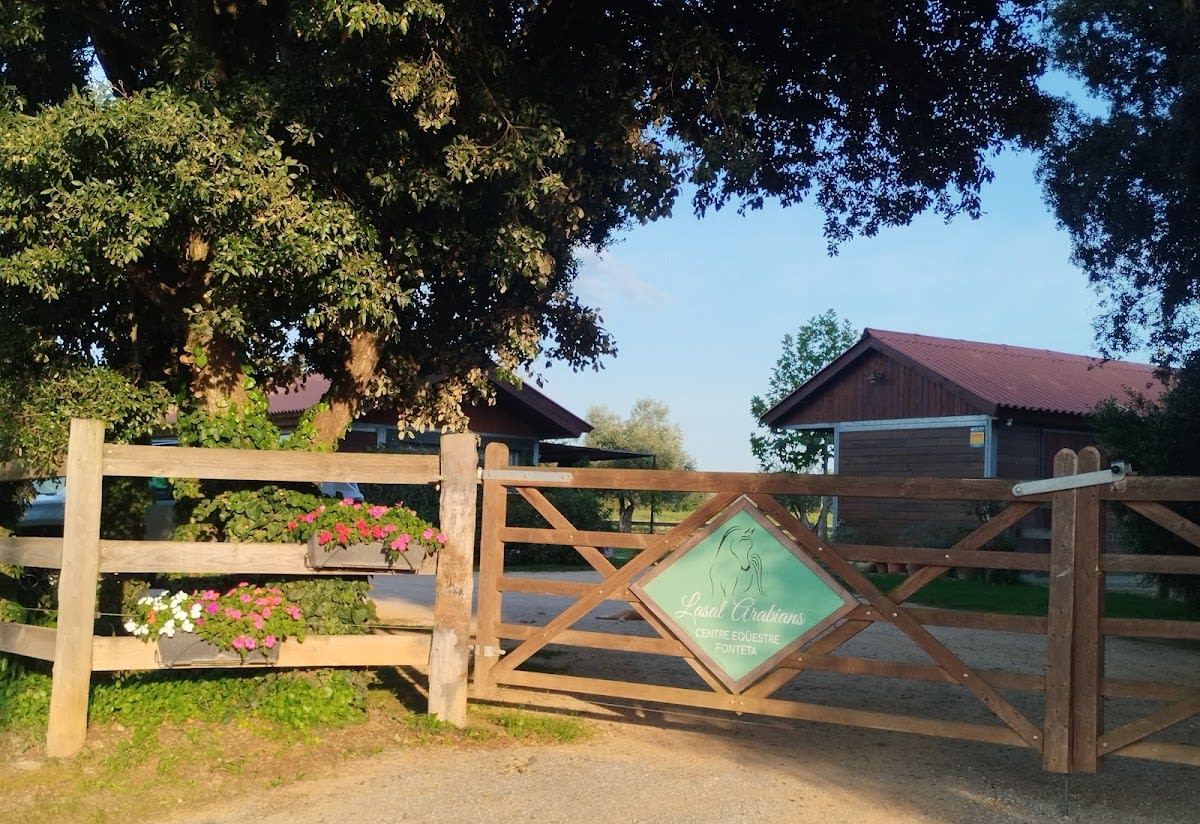 lasal arabians - Hipica in Fonteta