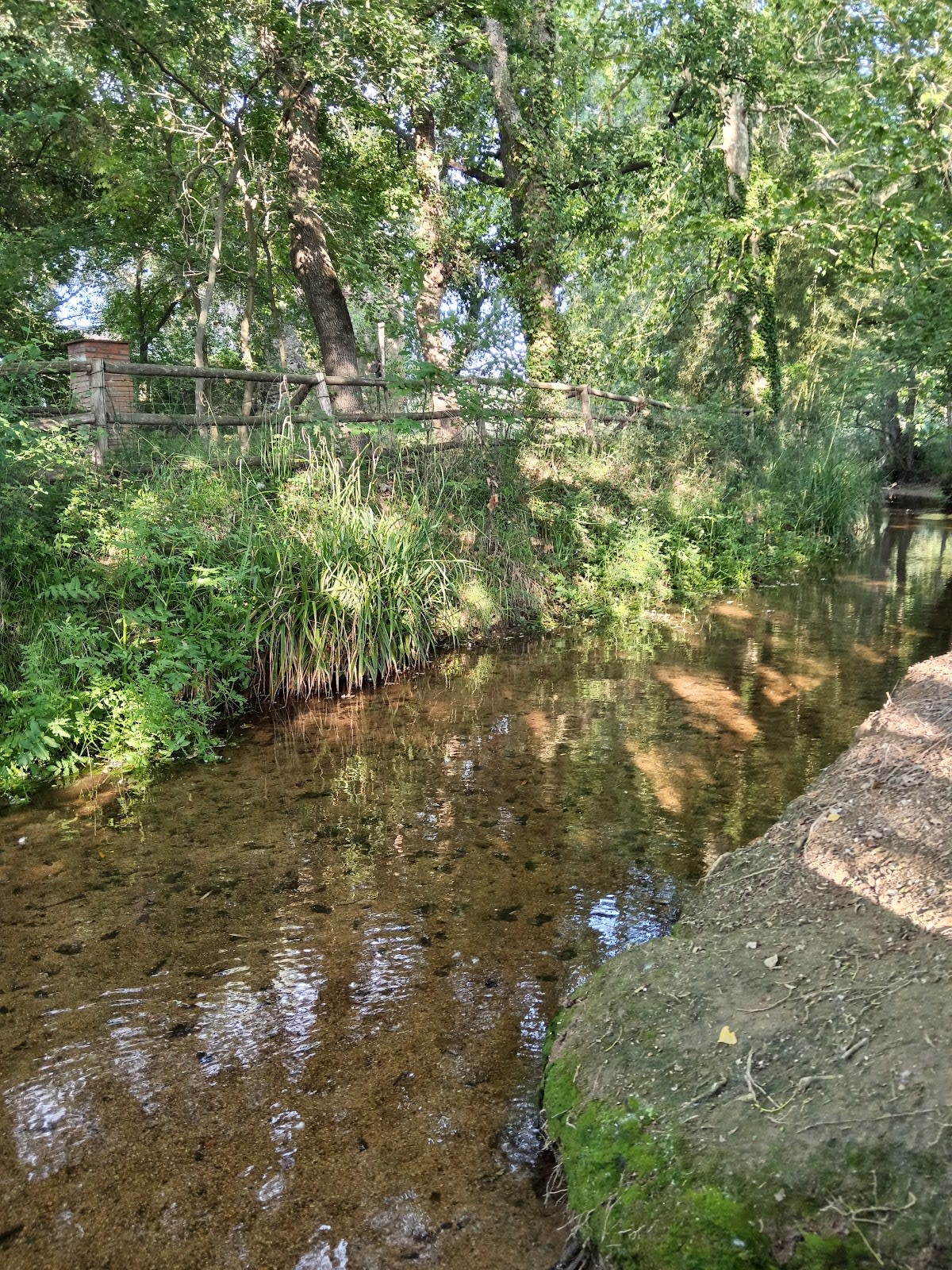 Cal Traginer - Hipica in Vidreres