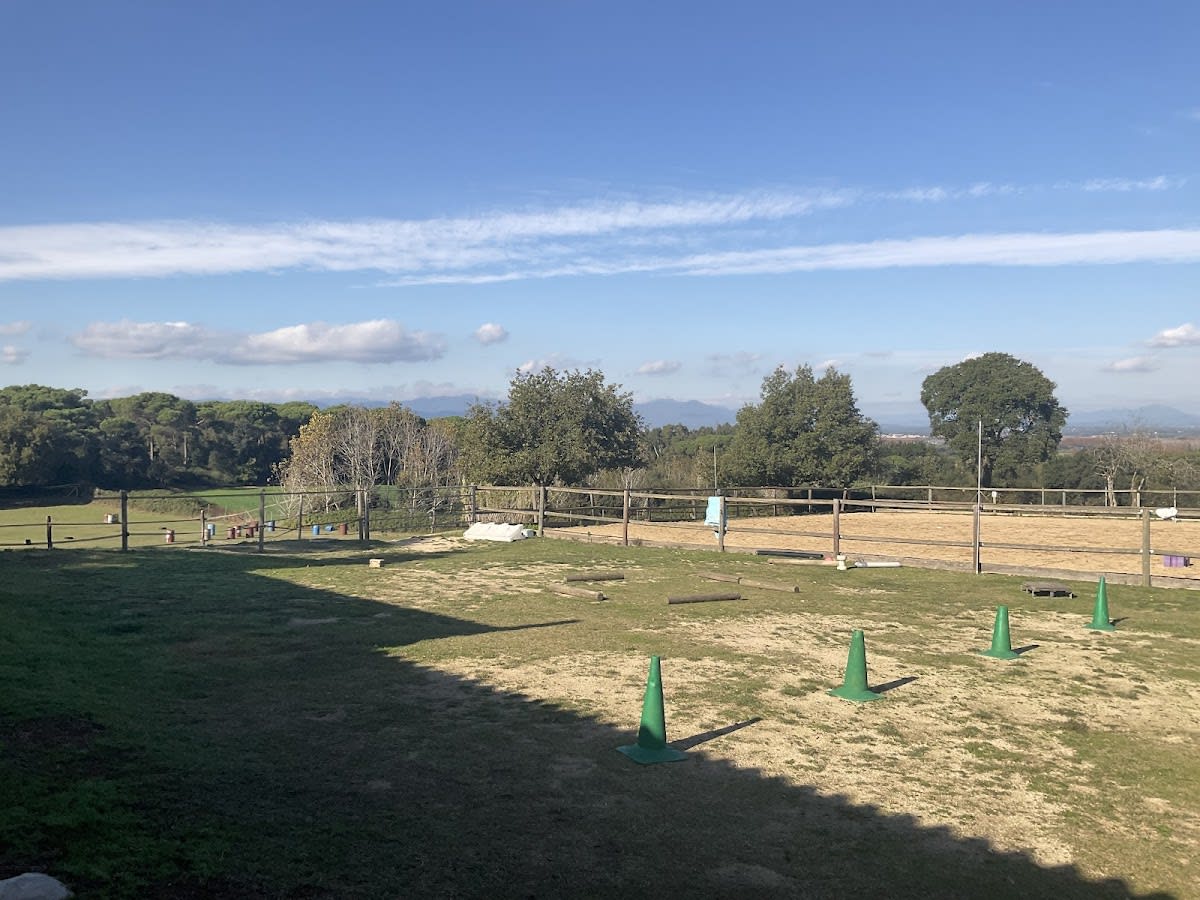 Cavall I Natura - Hipica in Vidreres