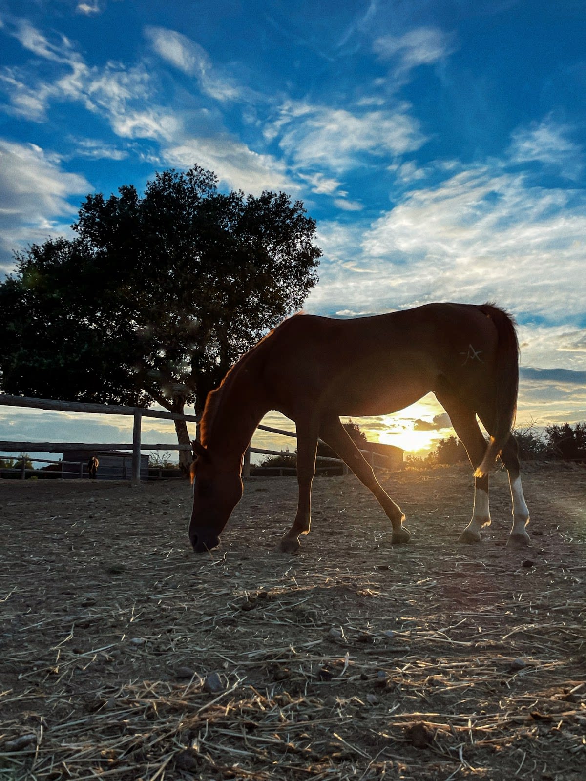Horse Riding Team - Hipica in Terrades