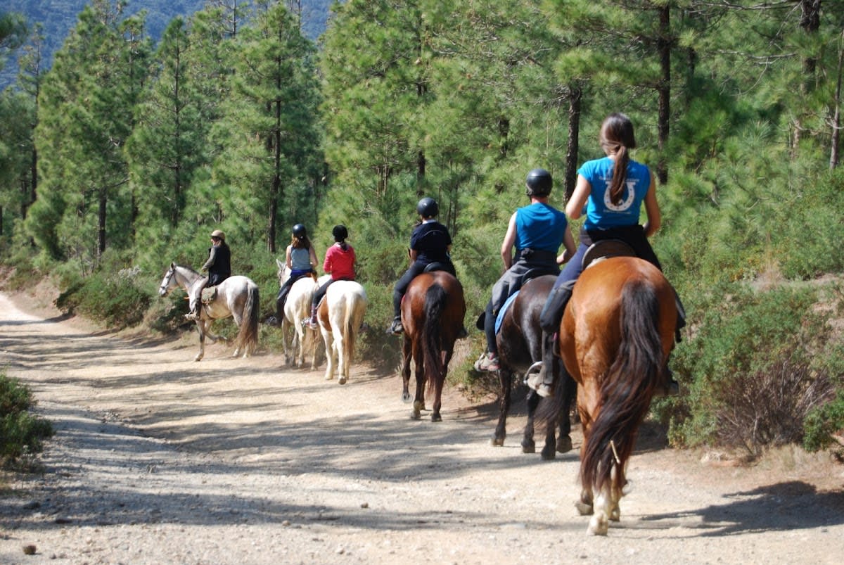 Hípica el camp - Hipica in Girona