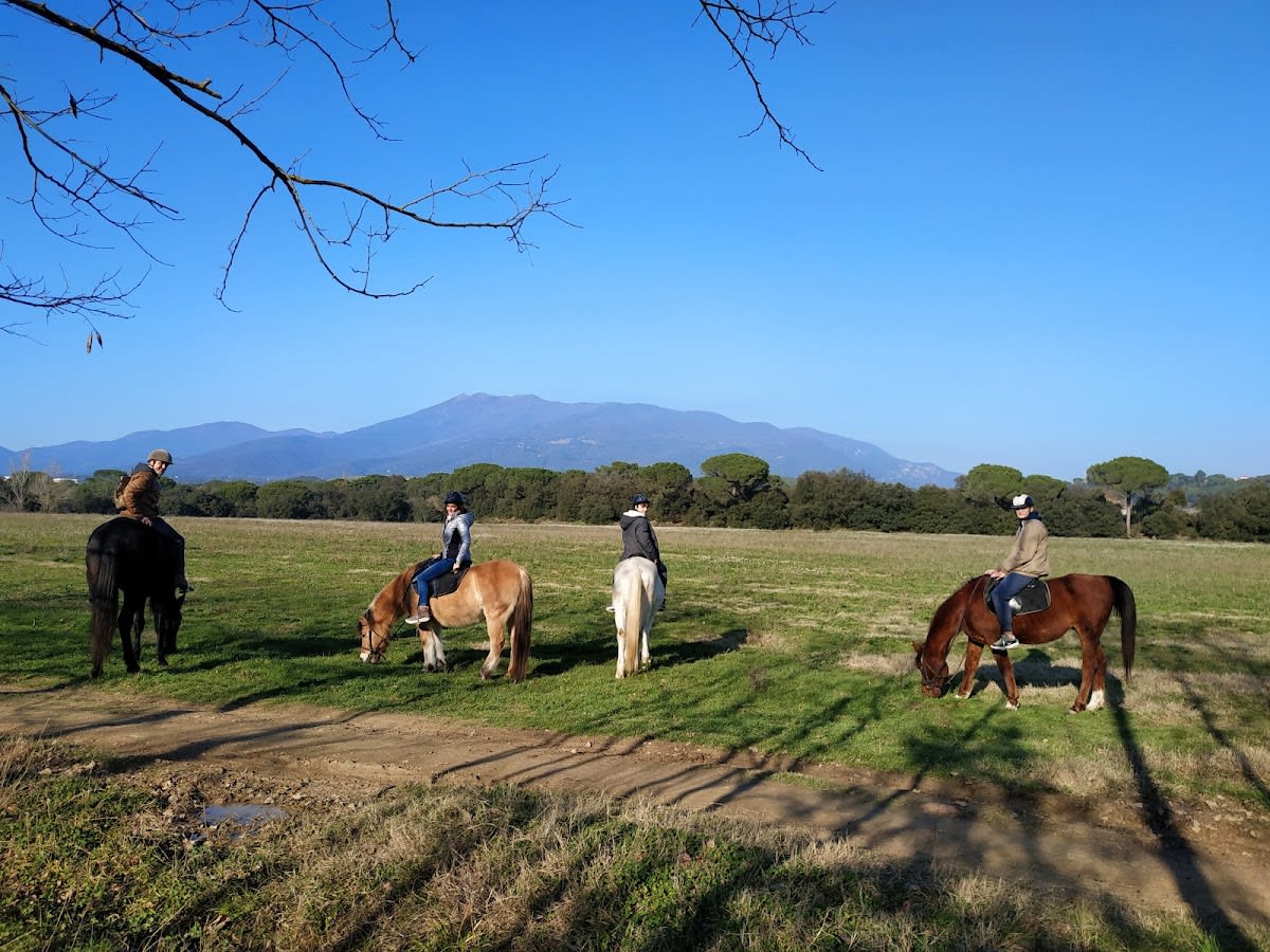 A cavall pel Montseny - Hipica en Santa Maria de Palautordera