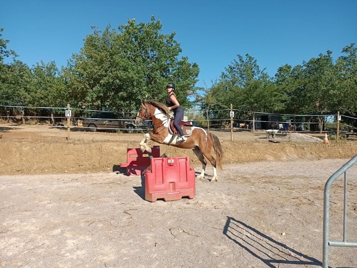 Le Ranch des Aspres - Hipica in Fourques