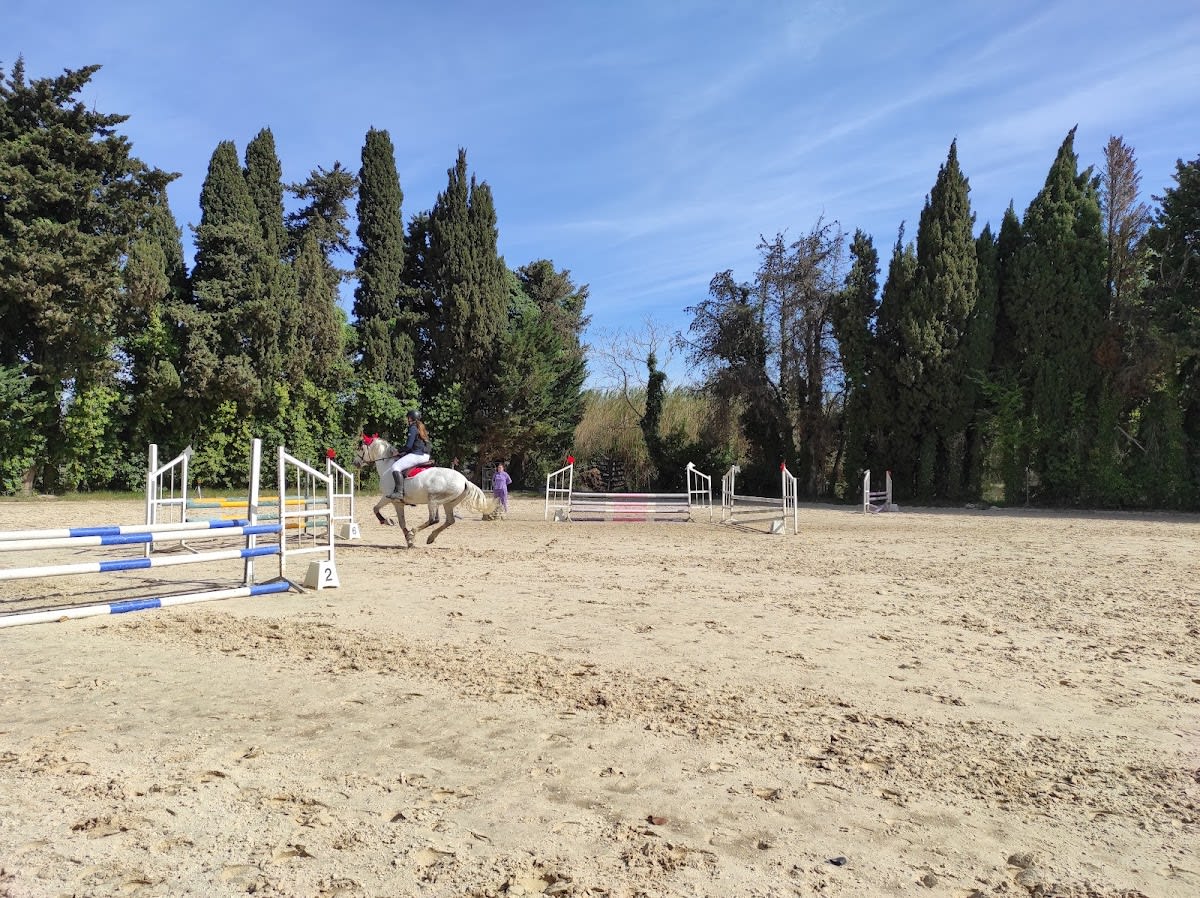 The stables of Taxo - Hipica in Argelès-sur-Mer