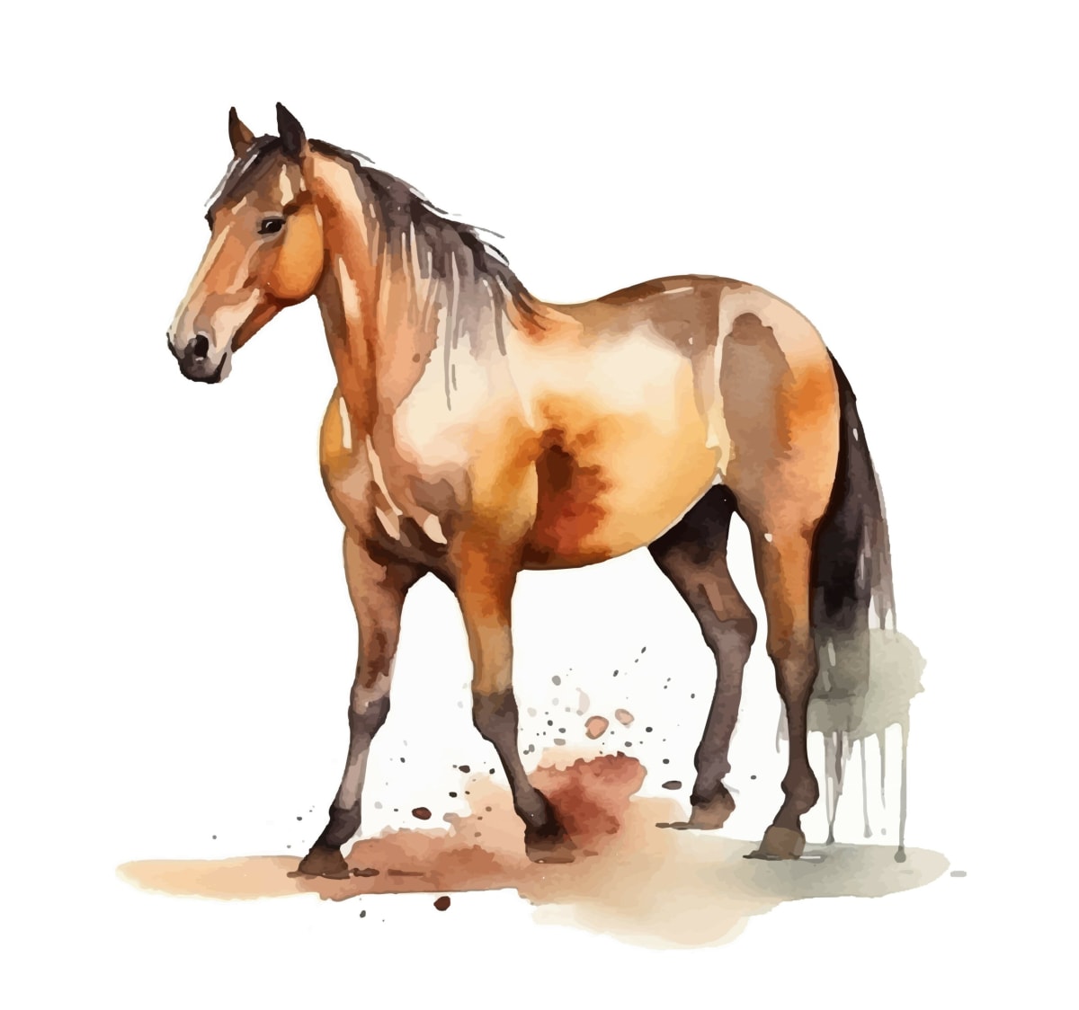 CENTRE EQUESTRE LE CARROUSEL - Hipica em Llupia