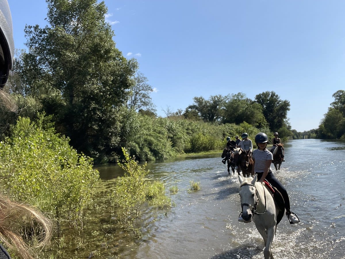 Ranch de la Sirène - Hipica in Argelès-sur-Mer