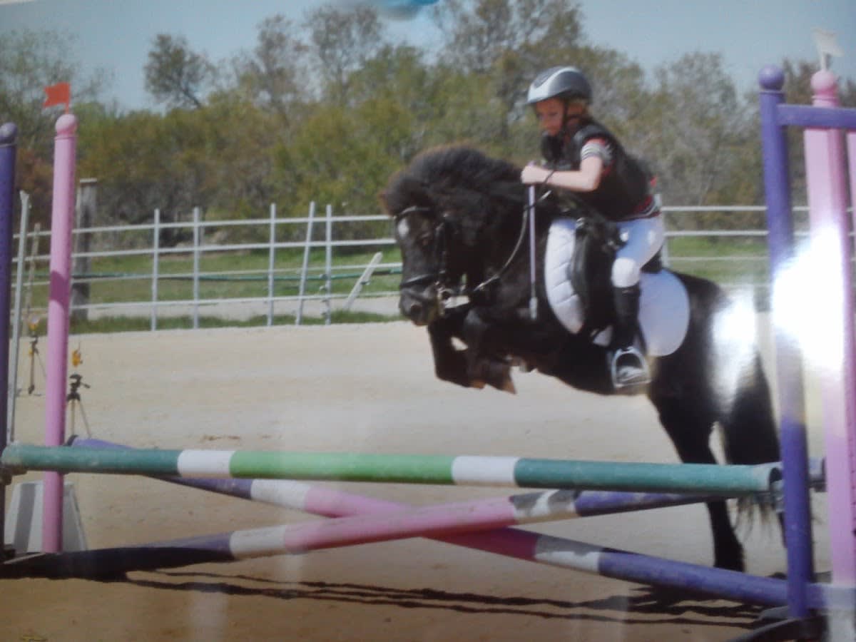 equi-gym - Hipica in Elne