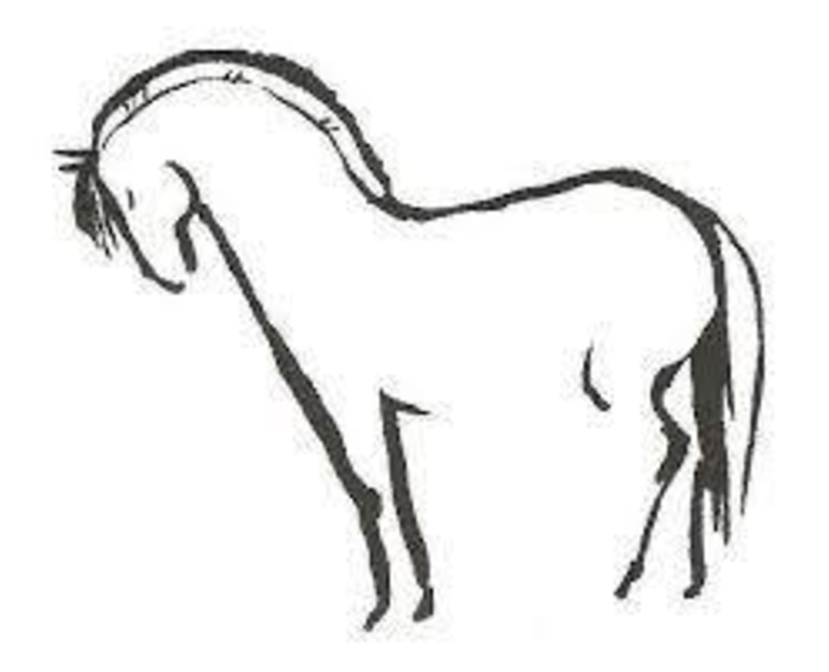 Les Fjords Du Razes - Hipica in Routier