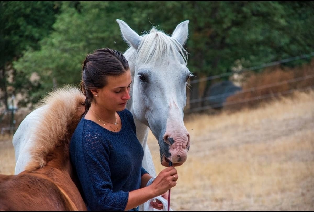 Instructor Riding Independent Estel.la - Hipica in Laroque-des-Albères